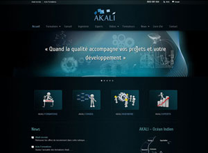 Site vitrine Akali